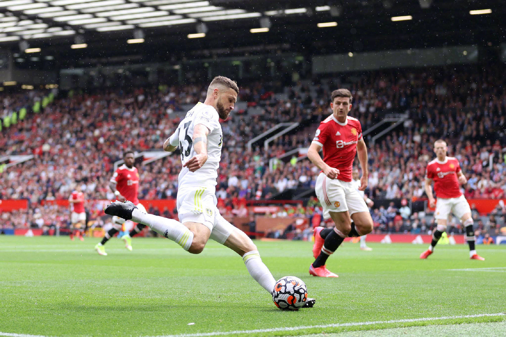 这是许多人 这是许多人